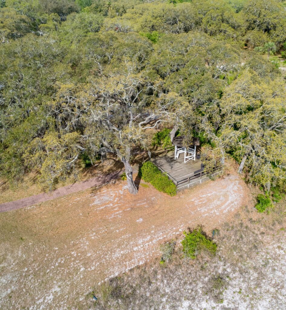 Aerial Drone Photo Of Retirement Community Trees
