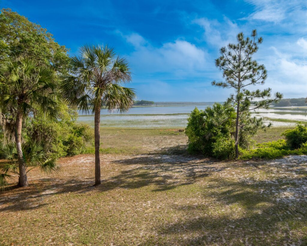 Landscape Photo Of Lakefront In Clay County